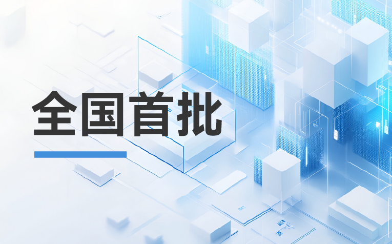 全國(guó)首批！龍由信息榮升為華為分銷(xiāo)鉆石伙伴，助力中小企業(yè)躍升智能化